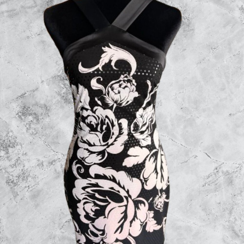 Cache Bodycon Dress, Size 2 - Picture 2 of 10